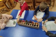 IMG_20241126_074130