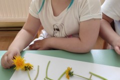 IMG_20210521_105534