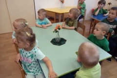 IMG_20170524_090509