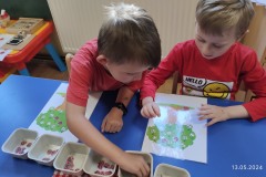 IMG_20240513_073339