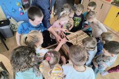 IMG_20260319_095221725_HDR_AE