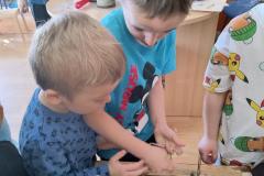 IMG_20260319_100017551_HDR_AE