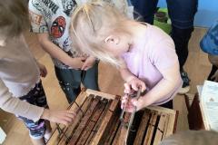 IMG_20260319_100130361_AE