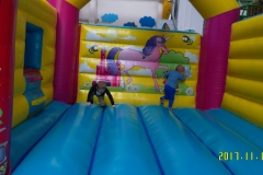 SAM_1442