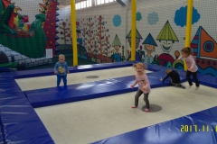 SAM_1455