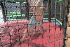 IMG_20261021_110426139_AE