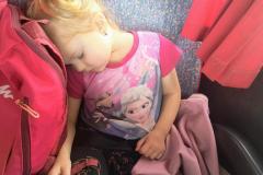 IMG_20261021_133503512_AE