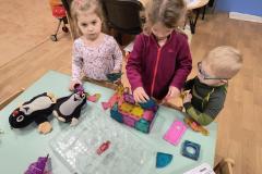 IMG_20251119_065850807_HDR_AE