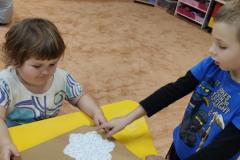 IMG_20241119_084539