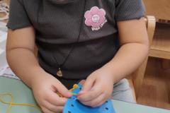 IMG_20241120_084516