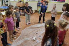IMG_20241120_100434
