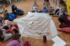 IMG_20241120_103229