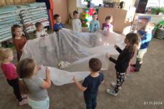 IMG_20241121_094142