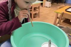 IMG_20251121_064214779_HDR_AE