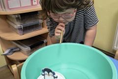 IMG_20251121_072520447_AE