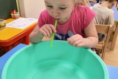 IMG_20251121_072525453_AE