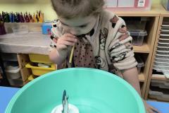 IMG_20251121_072651603_AE