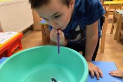 IMG_20251121_073220827_AE