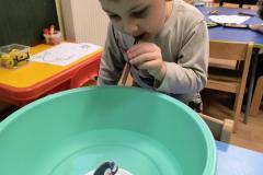 IMG_20251121_073235114_AE