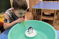 IMG_20251121_080418196_HDR_AE