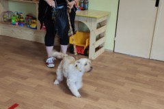 IMG_20220621_093530
