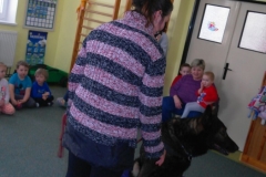 SAM_2531