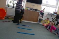 SAM_2534