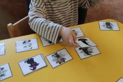IMG_20250428_070232