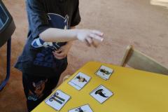 IMG_20250428_073441