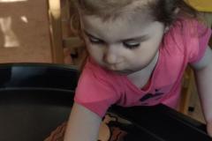 IMG_20250428_080300