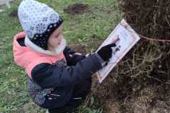 IMG-20221204-WA0010