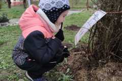 IMG-20221204-WA0011