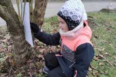 IMG-20221204-WA0012