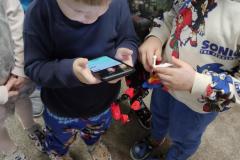 IMG_20241202_081208