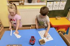 IMG_20251202_064608199_AE