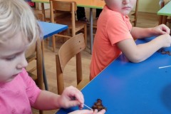 IMG_20211201_095548