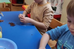 IMG_20211201_095551