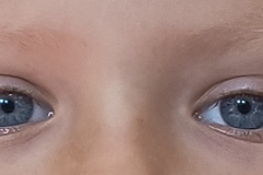 IMG_20250901_080131487_MF_PORTRAIT