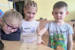 IMG_20260122_103323293_AE