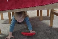 IMG_20250220_071133