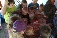 IMG_20200601_105304