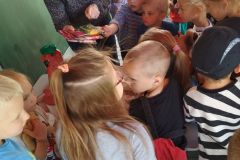 IMG_20200601_105352