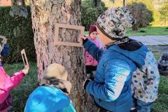 IMG_20251020_100106441_HDR_AE