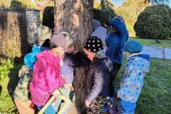 IMG_20251020_100222221_HDR_AE