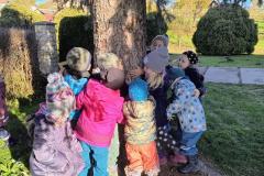 IMG_20251020_100233348_HDR_AE