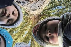 IMG_20251020_100314309_HDR_AE