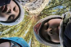 IMG_20251020_100316821_HDR_AE