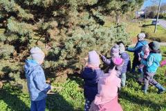 IMG_20251020_100704066_HDR_AE