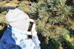 IMG_20251020_100712517_HDR_AE