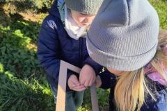 IMG_20251020_100717178_HDR_AE